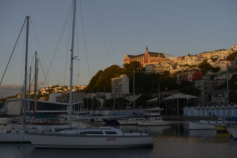 Wellington: Private Day Tour With Lunch - Experience Description
