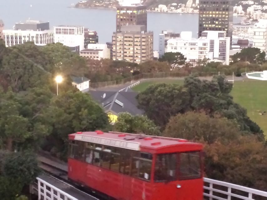 Wellington: Private Day Tour With Lunch - Tour Recommendations