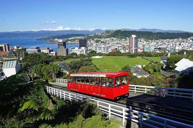 Wellington Private One Day Tour - Key Points