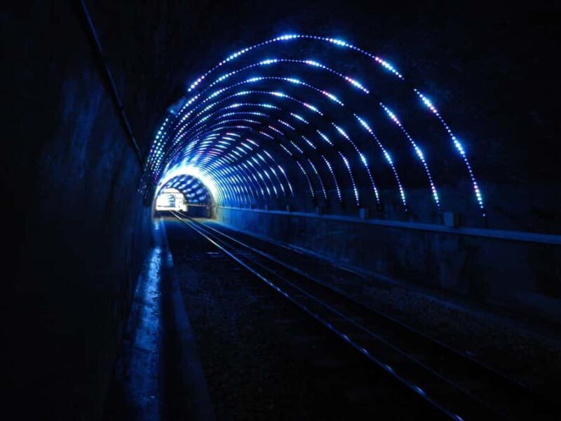Wellington: Return Cable Car Ticket - The Experience in Detail