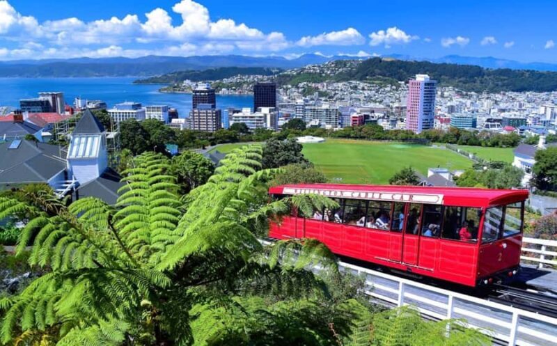 Wellington: Return Cable Car Ticket - The Sum Up: Who Is This Experience Perfect For?