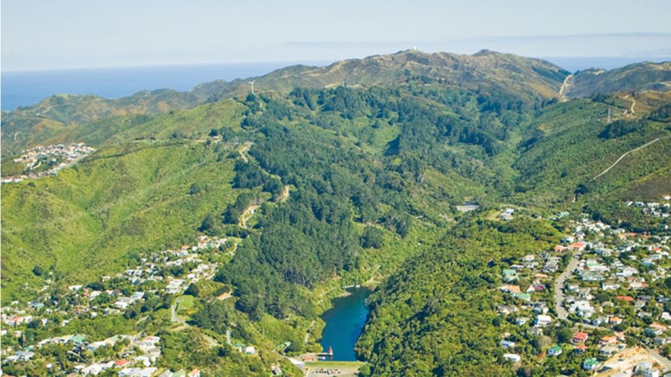 Wellington: Scenic Harbour Helicopter Flight - Experience Highlights