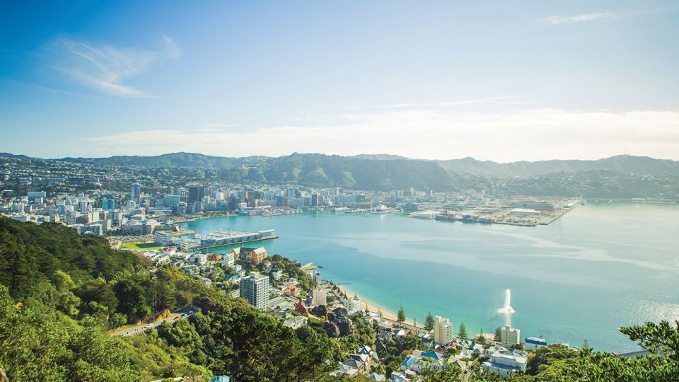 Wellington: Scenic Harbour Helicopter Flight - Full Flight Description
