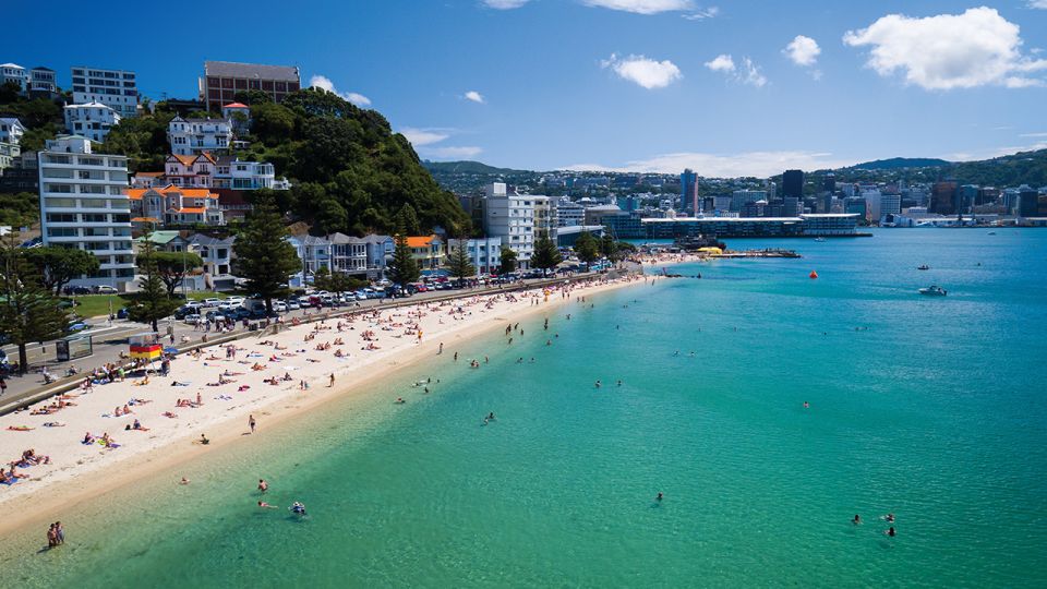 Wellington: Scenic Harbour Helicopter Flight - Safety and Booking Information