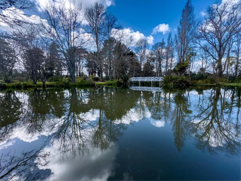 Wellington: Secret Realms of Middle-earth - Lothlorien - What Makes This Tour Stand Out?