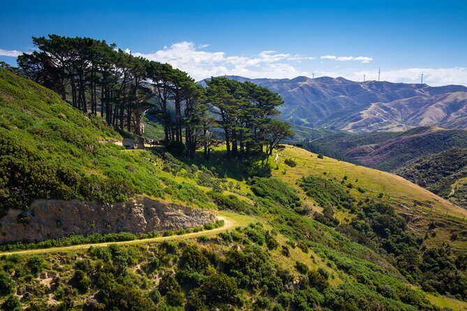 Wellington: Wild Skyline Guided Hiking Tour, Transfers + Lunch - Included Lunch and Snacks