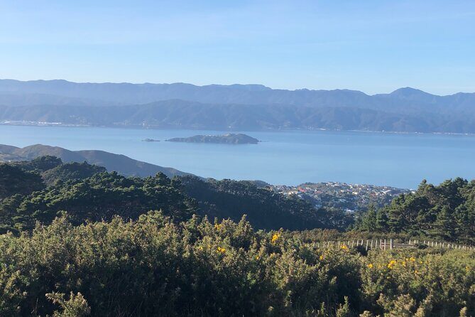 Wellington: Wild Skyline Guided Hiking Tour, Transfers + Lunch - Price and Value