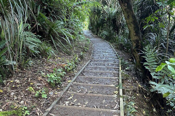 Wellington: Wild Skyline Guided Hiking Tour, Transfers + Lunch - What Travelers Say