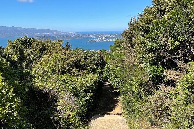 Wellington: Wild Skyline Guided Hiking Tour, Transfers + Lunch - Who Should Consider This Tour?