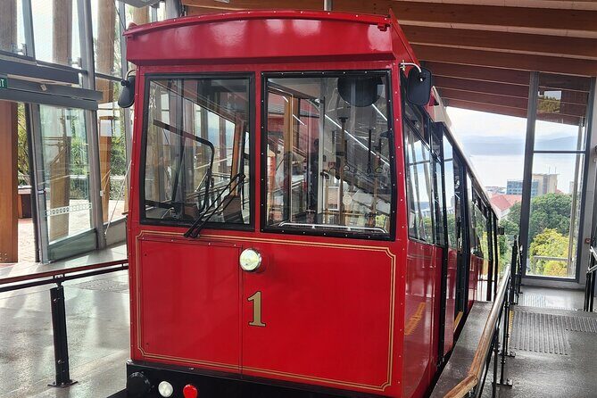 Wellingtons Historical Walking Odyssey - Who Will Love This Tour?