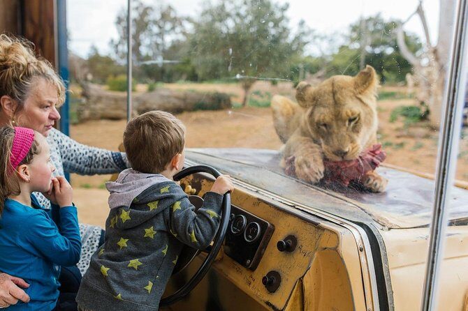 Werribee Open Range Zoo General Admission Ticket - Key Points