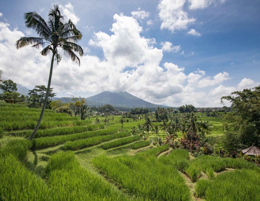 West Bali: Jatiluwih Rice Terrace and Tanah Lot Sunset Tour - Visiting Pura Luhur Batukaru