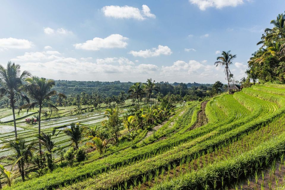 West Bali: Jatiluwih Rice Terrace and Tanah Lot Sunset Tour - Experiencing Tanah Lot Sunset
