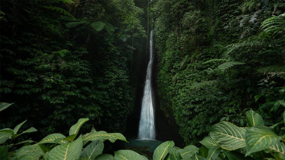 West Bali: Jatiluwih Rice Terrace and Tanah Lot Sunset Tour - Tour Inclusions and Highlights