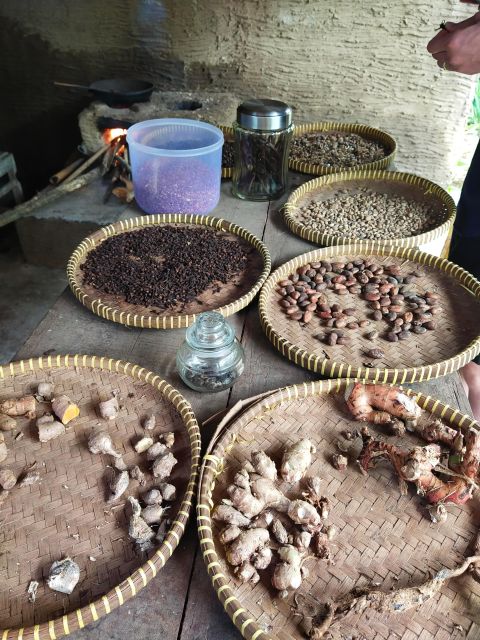 West Bali - Lake Temple - Jatiluwih Rice Terrace Tour - Key Points