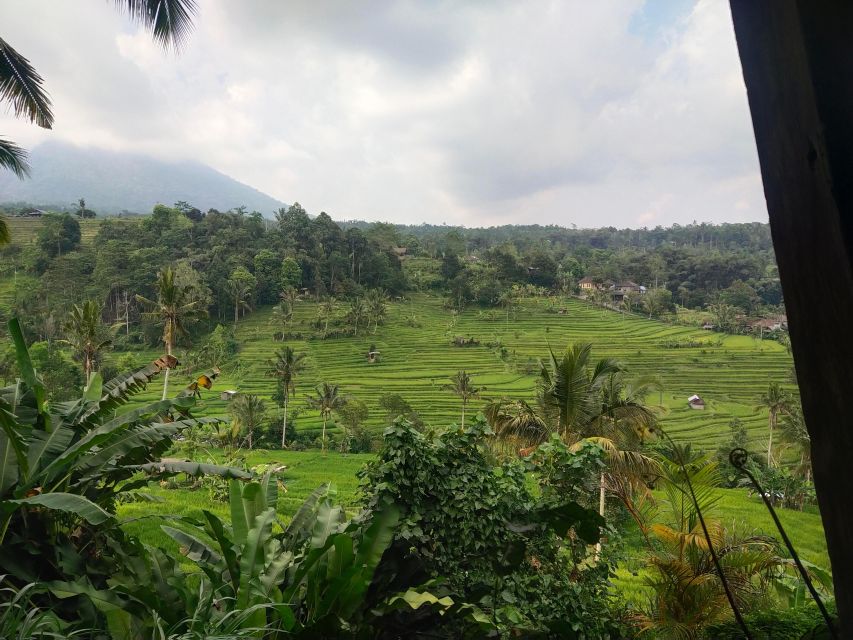 West Bali - Lake Temple - Jatiluwih Rice Terrace Tour - Frequently Asked Questions