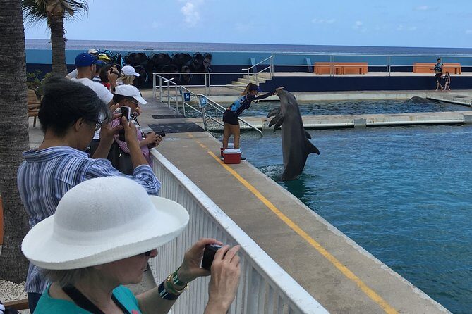 West Bay Sightseeing Tour Plus Seven Mile Beach Visit - What to Expect from the Tour