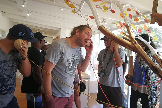 West Coast Day Trip From Cape Town - Transportation and Pickup Details