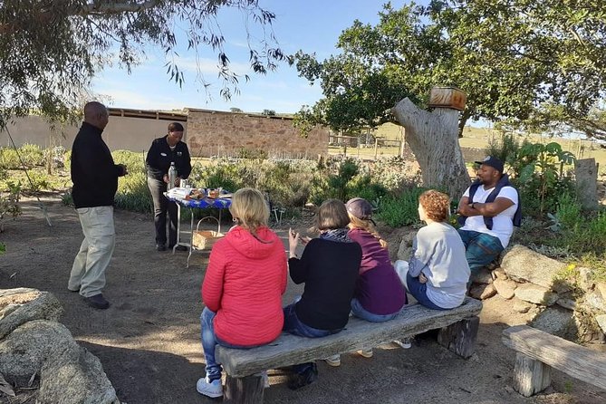 West Coast Day Trip From Cape Town - Traveler Reviews and Ratings