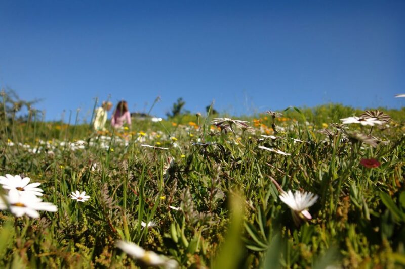 West Coast National Park. Private Tour. - Guide Information