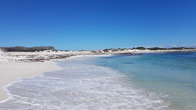 West Coast National Park. Private Tour. - Insurance Responsibility