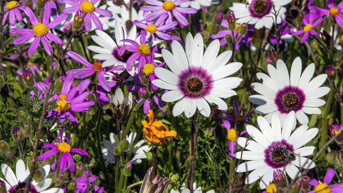 West Coast National Park. Private Tour. - Frequently Asked Questions