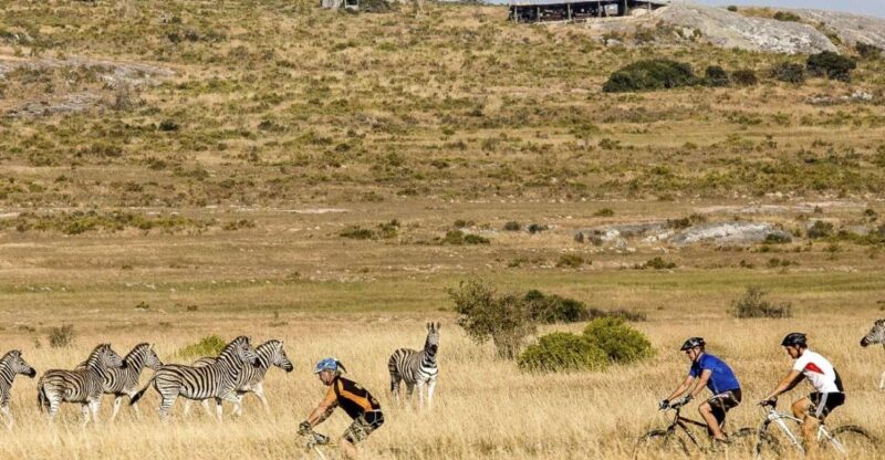 West Coast: Nature Cycle & San Heritage Centre. W. Lunch - Itinerary Highlights