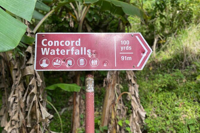 West Coast: Rum Distillery, Concord waterfall, Nutmeg processing - The Itinerary: What to Expect