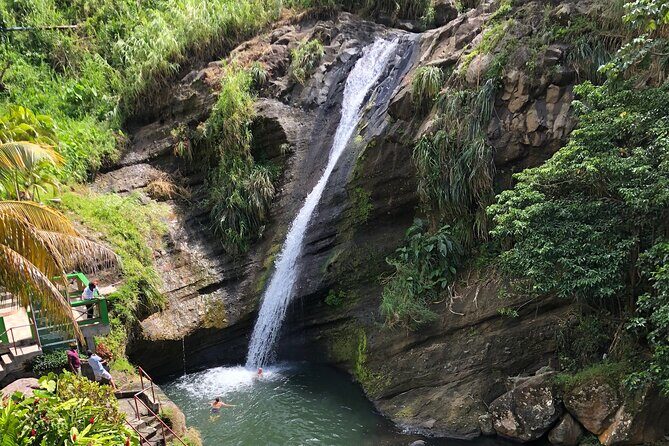 West Coast: Rum Distillery, Concord waterfall, Nutmeg processing - Authenticity and the Guide Experience