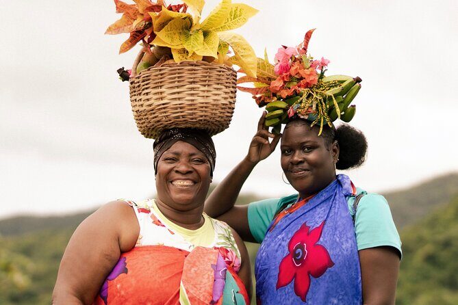 West Coast: Rum Distillery, Concord waterfall, Nutmeg processing - Who Should Consider This Tour?