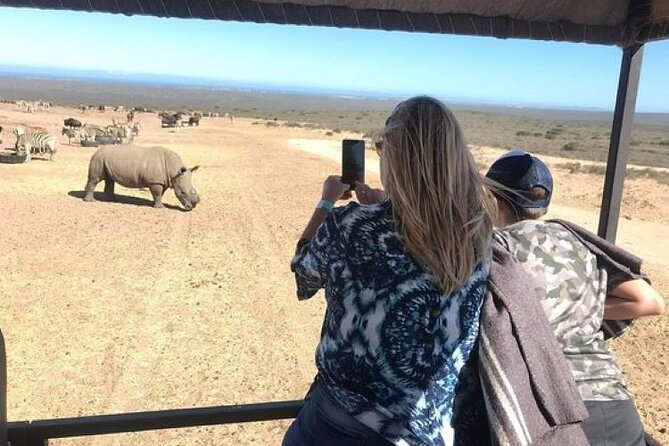 West Coast Safari and Khoi San Village COMBO - PRIVATE TOUR - Exploring the Khoi San Heritage Site