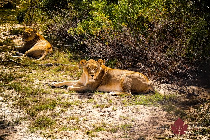 West Coast Safari and Khoi San Village COMBO - PRIVATE TOUR - Accessibility and Inclusivity Details