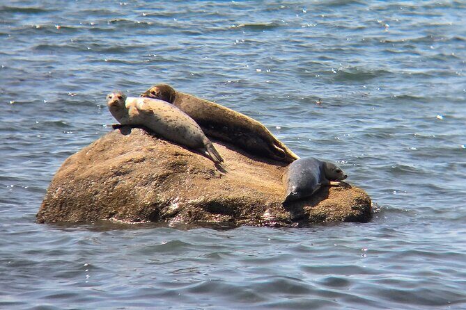 West Coast Wildlife Rainforest Waterfall and Beaches - Frequently Asked Questions