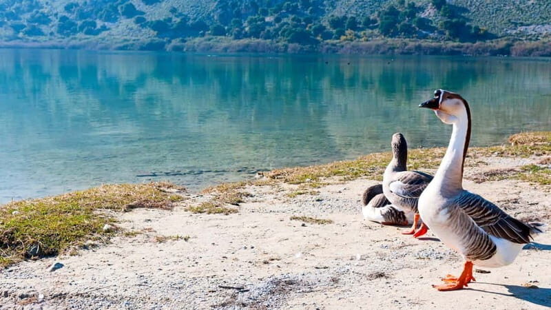 WEST CRETE:CHANIA-KOURNAS-RETHIMNO - Who should consider this tour?