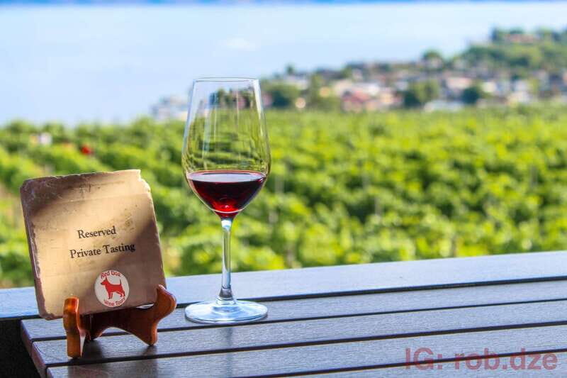 West Kelowna: Afternoon Sightseeing and Wine Tour - Discovering West Kelowna’s Vineyard Charm