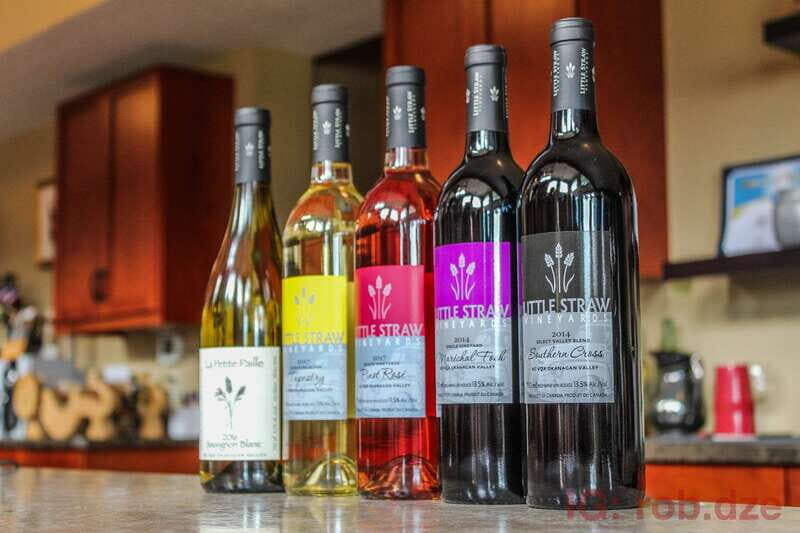 West Kelowna: Afternoon Sightseeing and Wine Tour - The Ride: Comfort and Commentary