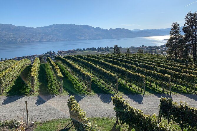 West Kelowna Full Day Wine Tour - What Makes This Tour Special?