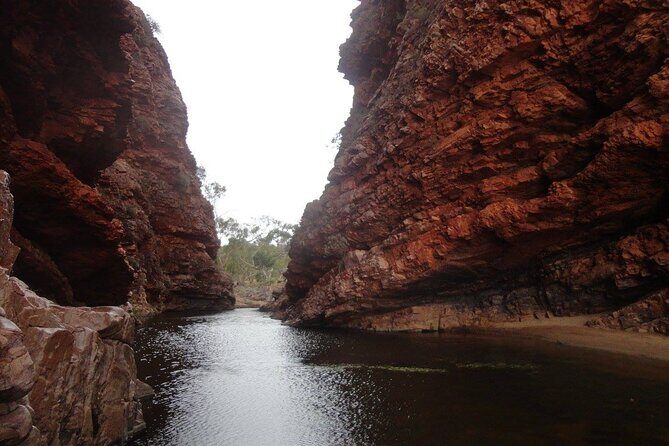 West MacDonnell Ranges Half day Tour -Small Group - Key Points