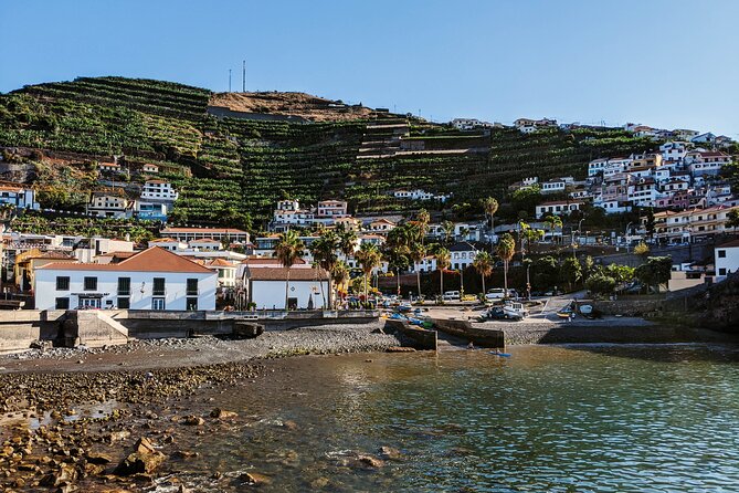 West Madeira Island Guided Tour & Fanal Mystic Forest - Customer Experiences