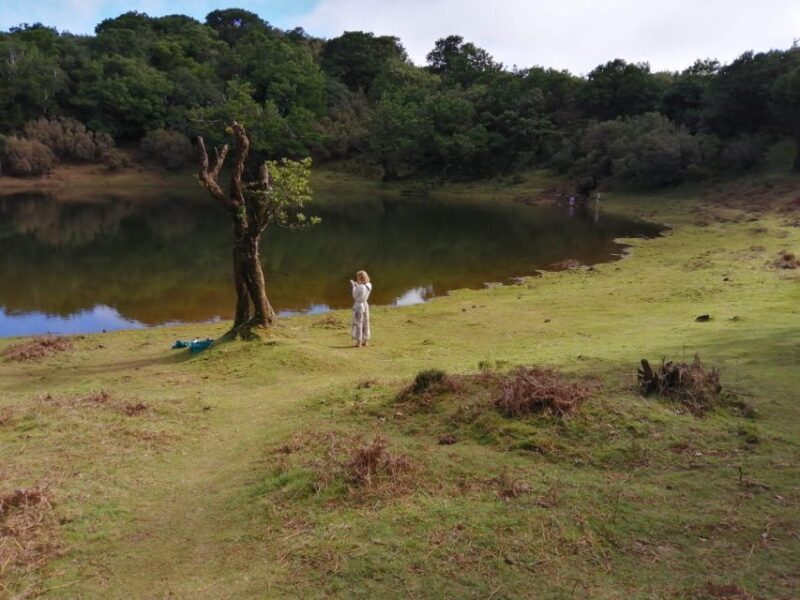 West Madeira:, Laurel Forest, Waterfall, Rock Pools, Walk - Practical Details and Considerations