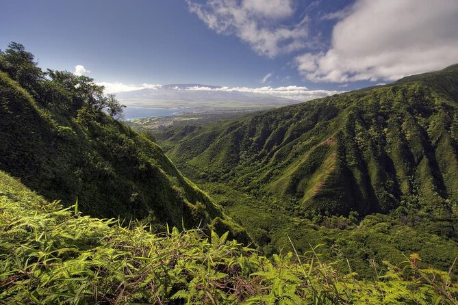 West Maui Adventure Tour With Private Guide - Good To Know