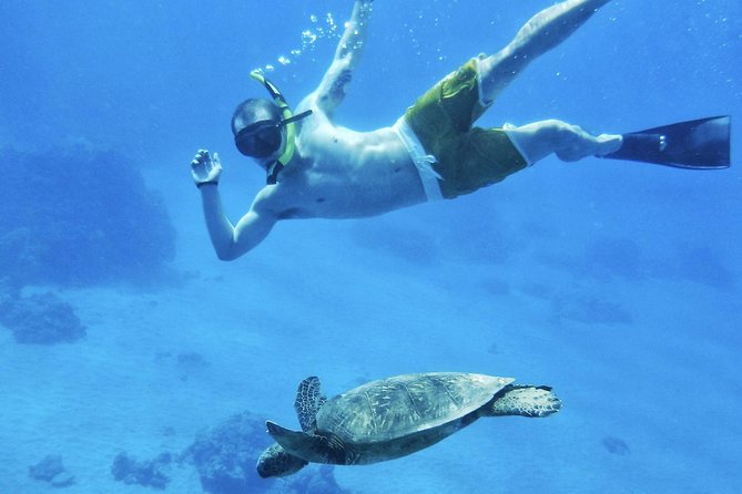 West Maui Half Day Snorkel From Ka'Anapali Beach - What To Expect