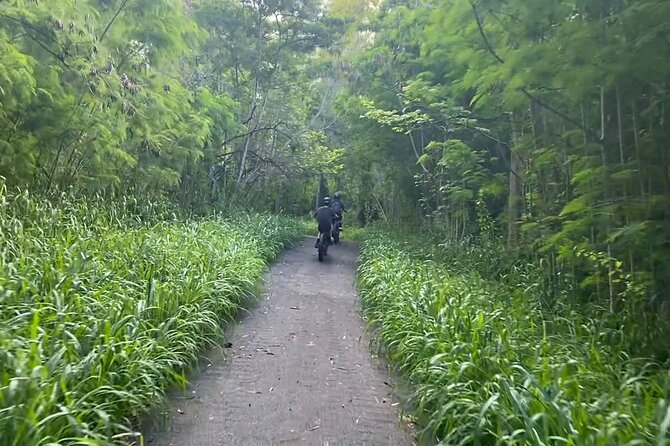 West Maui: Self-Guided E-Bike Kapalua Jungle Adventure Tour - Positive Feedback