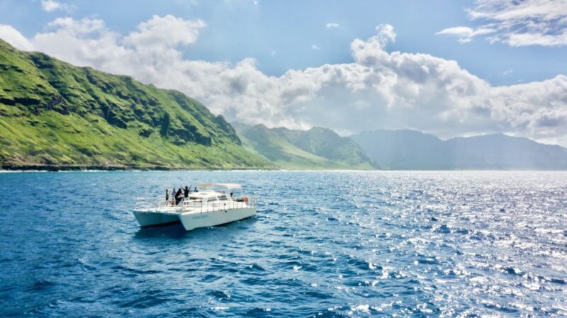 West O'ahu: Swim with Dolphins Catamaran Cruise - The Authenticity and Impact of This Tour