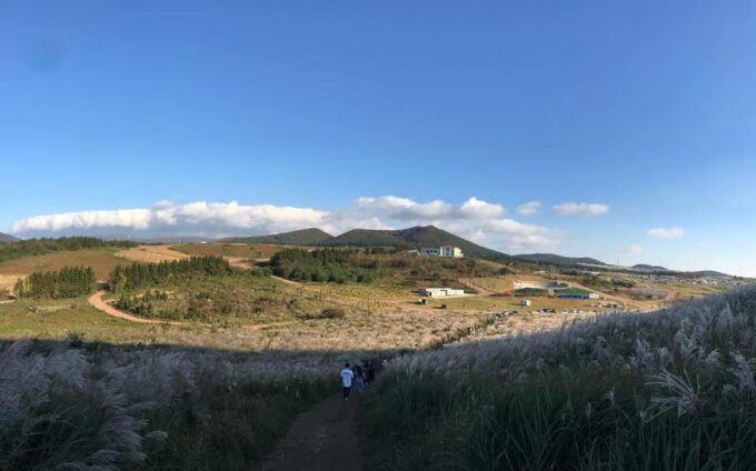West of Jeju Island Bus Tour From Seogwipo City, Jeju Island - Transportation and Amenities