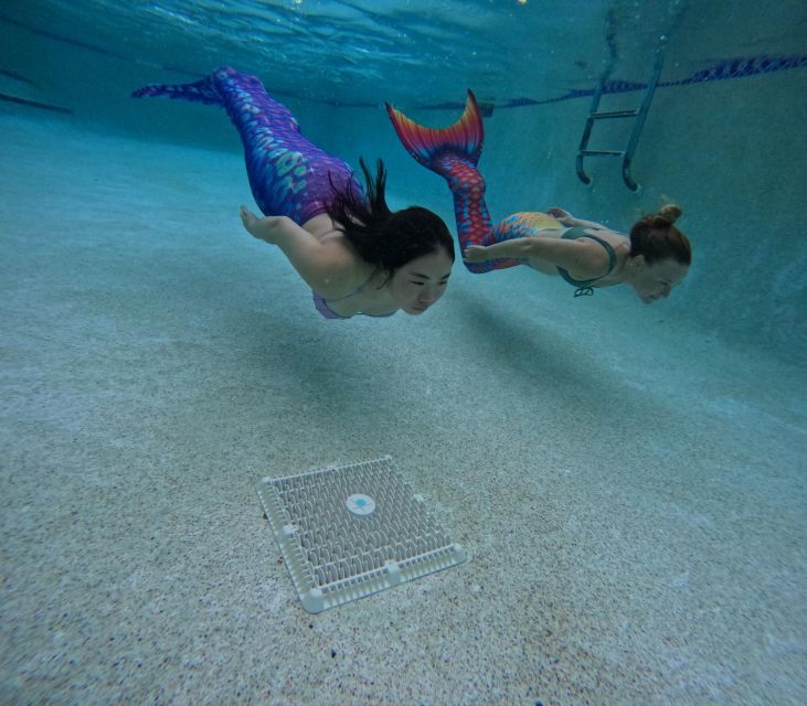 West Palm Beach: Become A Mermaid - Meeting Point and Parking
