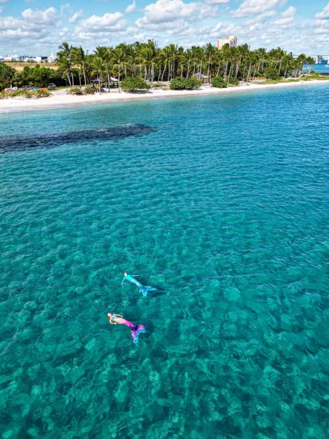 West Palm Beach: Become A Mermaid - Recap