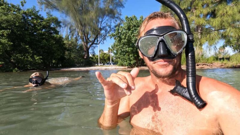 West Palm Beach: Beginner Snorkel Tour with Turtles & Videos - Practical Tips for Participants