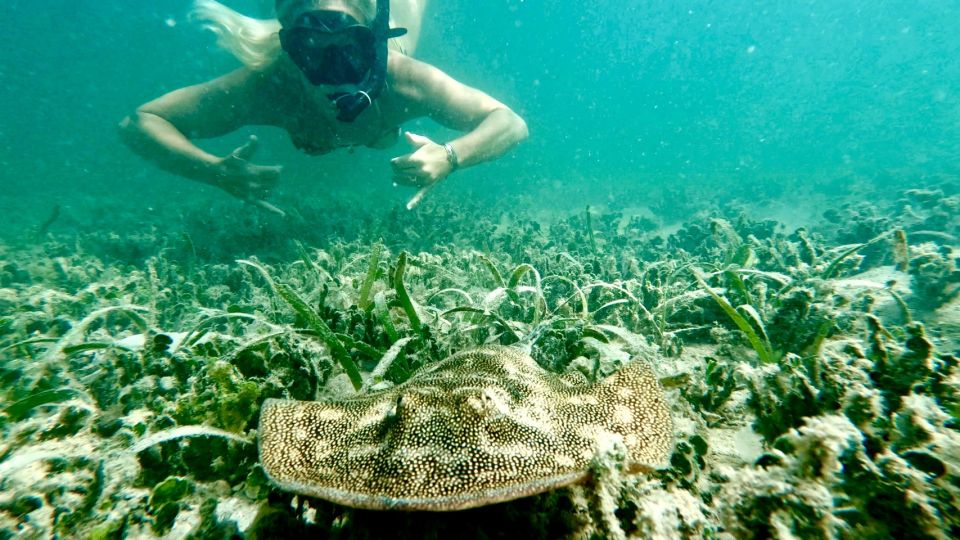 West Palm Beach: Beginner Snorkeling Adventure With Videos - Pricing and Booking Details
