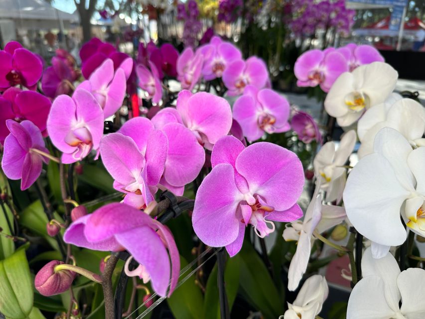 West Palm Beach: Mornings in the Market Food Tour - Vendor Encounters and Tasting Experiences